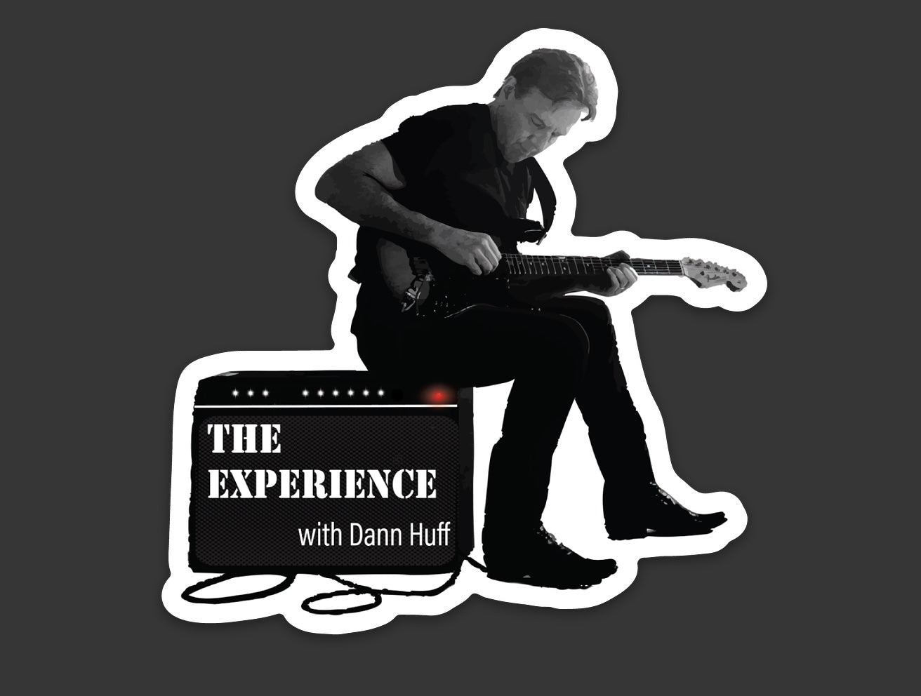 The Experience Die Cut Vinyl Sticker